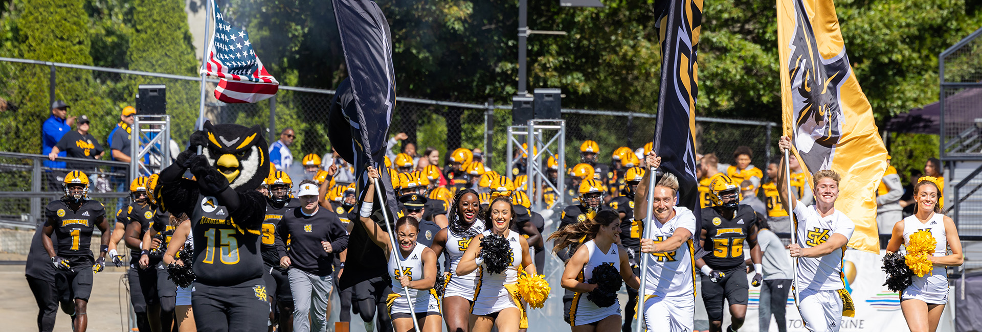 The Marching Owls