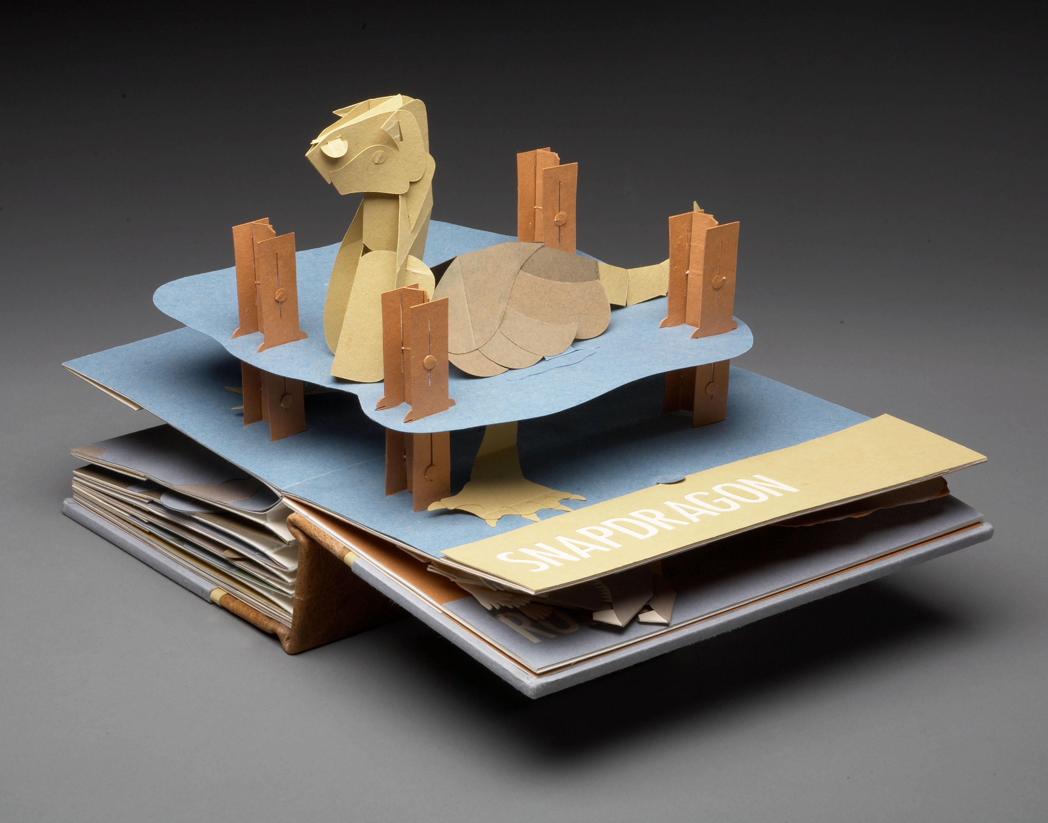 image of a pop up book including a turtle emerging from the center of the book