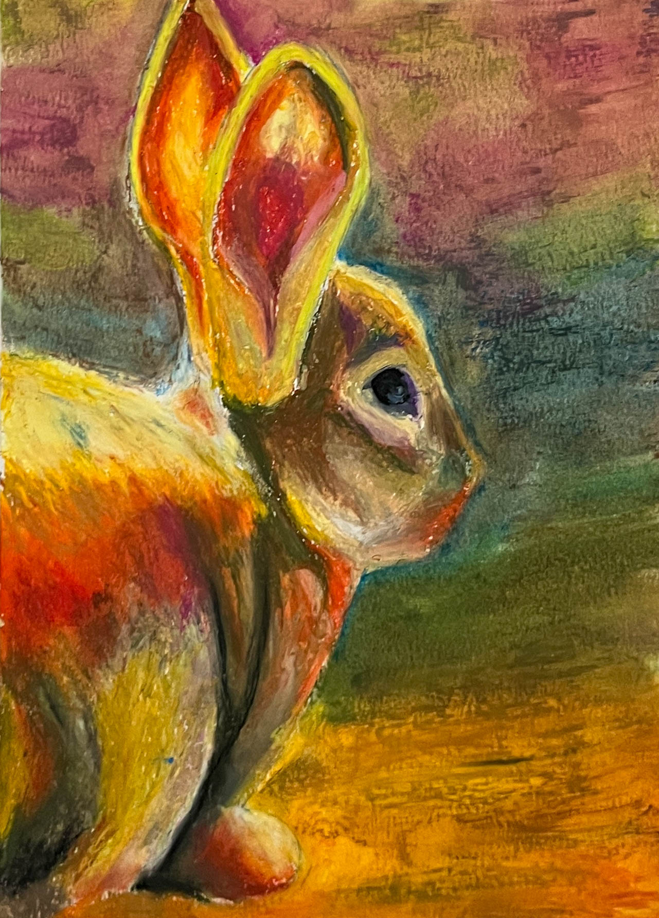 rabbit drawing