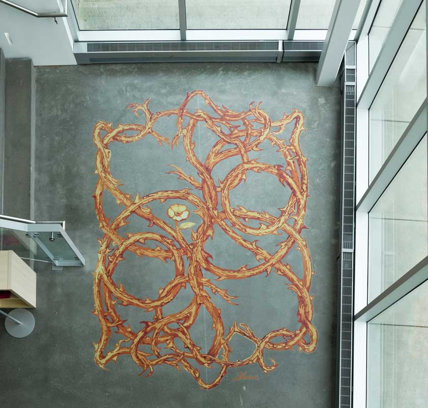 ariel view of artwork on the floor