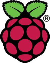 rasberry pi logo