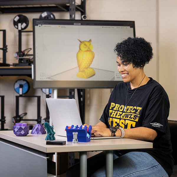 ksu student intern sitting at desk working on lap top