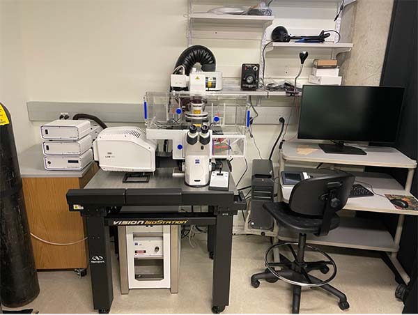 eiss lsm 900 confocal microscope