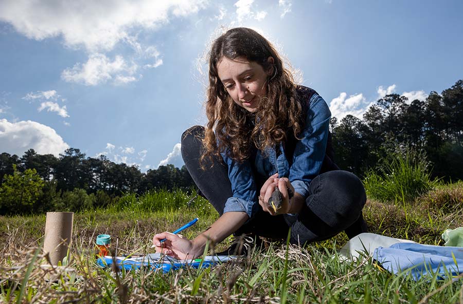 Photo of Dr. Sarah Guindre-Parker at the Kennesaw State University Field Station working on research