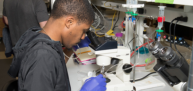 Kennesaw State Student examining sample