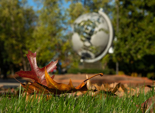 photo of KSU globe, photo taken at ground level during the fall 