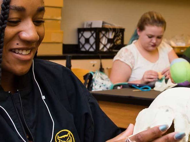 Two students focusing on the bones they are observing