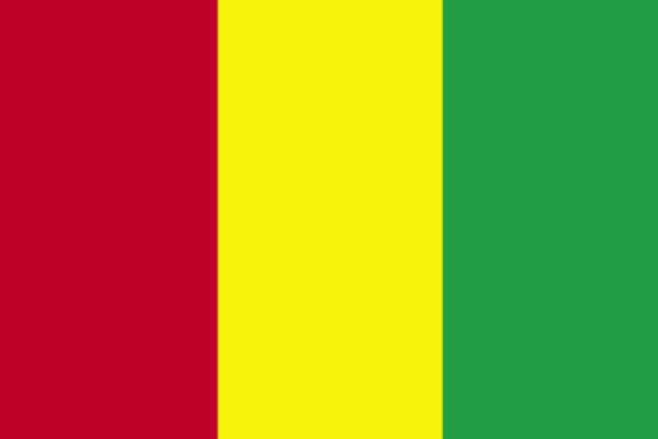 Guinea flag