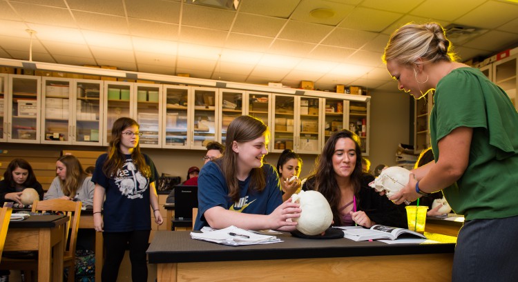 ksu studying human skeleton model in class room