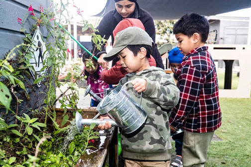 A child waters a plant in New Zealand