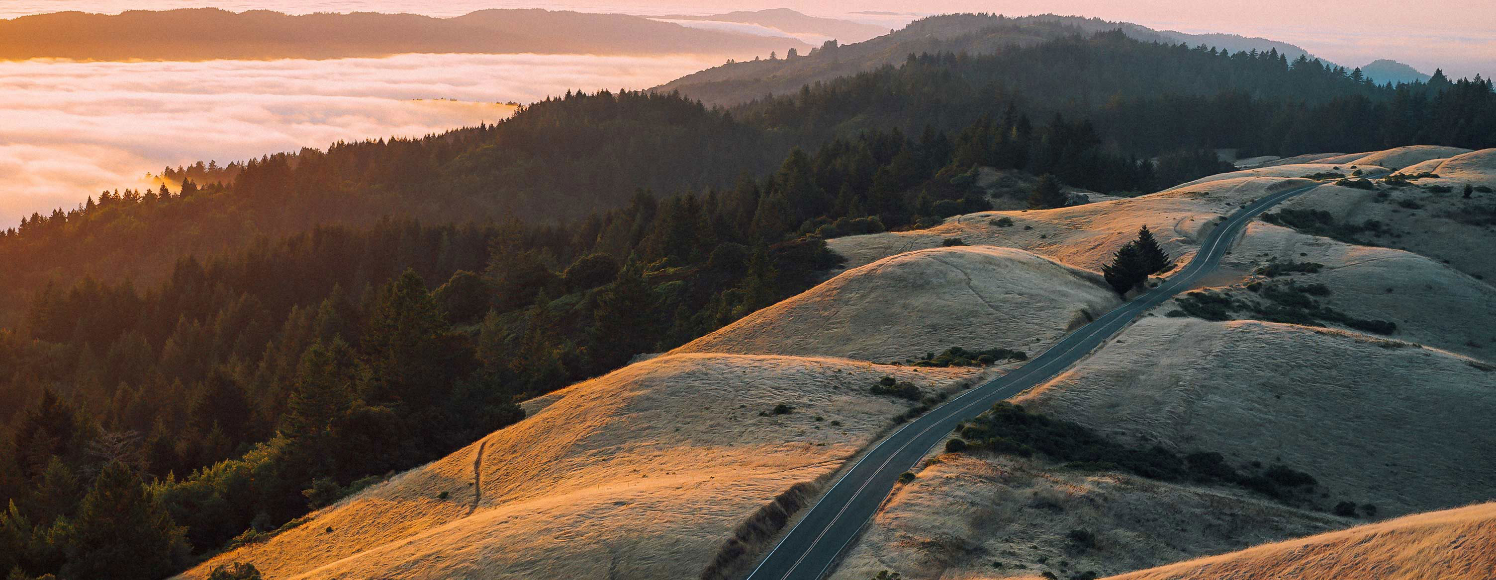 A still from the documentary, Trailblazers: The New Zealand Story