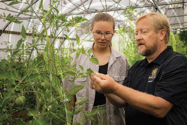 Students and faculty conduct research together at KSU.