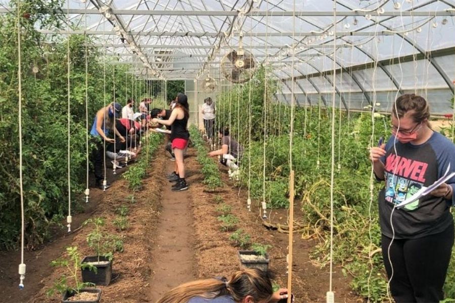 Students in Field Station