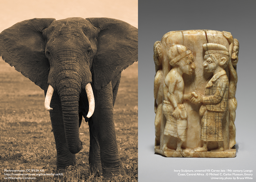 a side-by-side image of an elephant and a Carved Ivory Sculpture