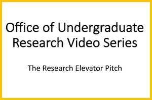 Image of video fifteen - The Research Elevator Pitch