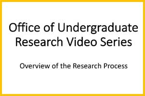 Image of video five - Overview of the Research Process