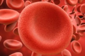 red blood cells.