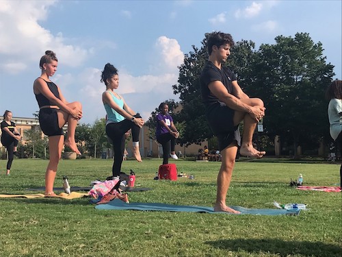 students practicing yoga outside on ksu campus green