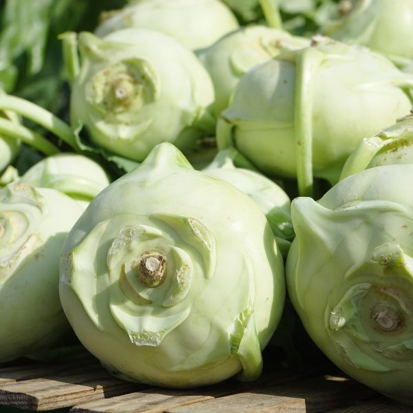 kohlrabi